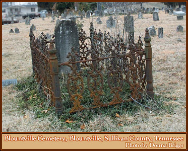 Cast Iron Grave 
Enclosure (fence), Blountville Tennessee.