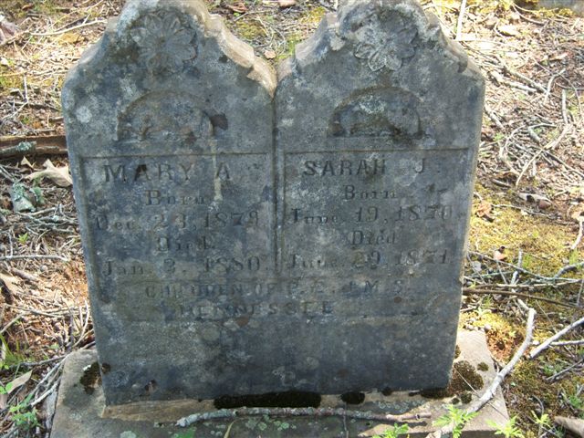 Mary A. Hennessee , 23 Dec 1879 - 3 Jan 1880 and Sarah J. Hennessee, 19 June 1870 - 29 June 1871