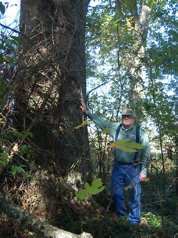 Doug Malone standing by giant red oak tree in the Earles-Holder Cemetery