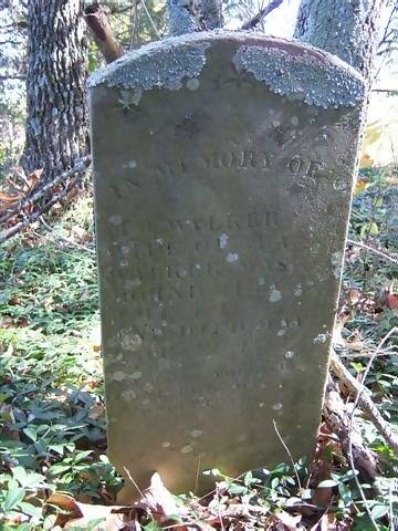 M.J. Walker