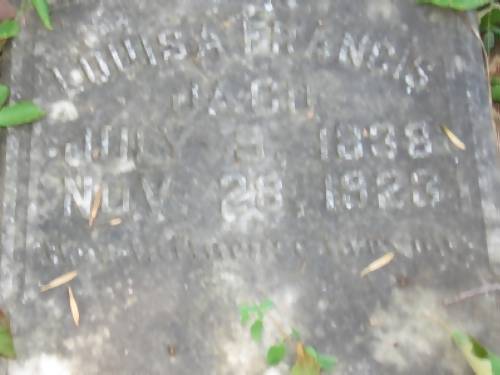 Louisa Francis Evans Jaco