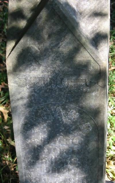 Sarah D. Jaco