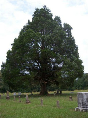 Wood Cemetery