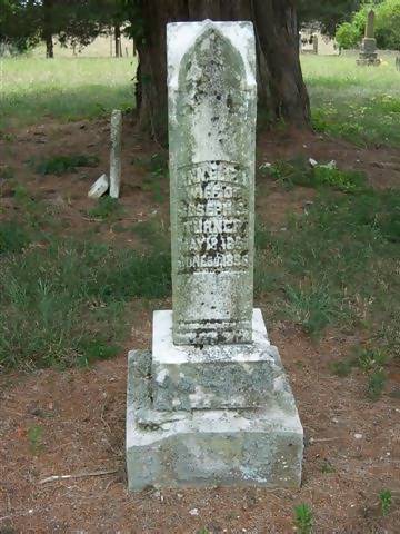 Ann Eliza Turner