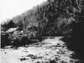 Thurman's Mill