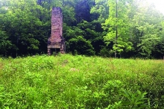 Boyatt Farm on No Business Creek in Scott County, TN