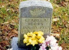 Gladiola Brown