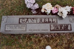 Clifford Cantrell 1993 Viola