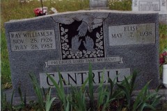 Ray Cantrell 1987 / Elise