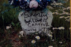 Willis Cantrell 1991