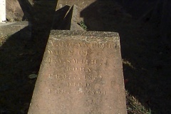 A Q Cantrell Smith 1894