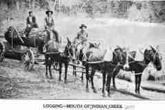 Logging at Mouth of Indian Creek