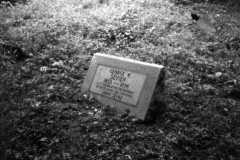 GGeorge W. Sevier (1853-1896)