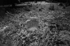 Glasscock Cemetery Stone