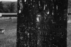 Mary Hinshaw Hunter
