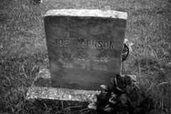 Joe Johnson