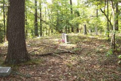 Knight-Sevier cemetery view
