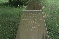 Ann VAUGHN