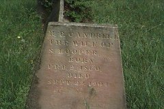 R P Cantrell LOOPER