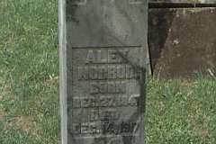 Alex Norrod