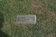 D A Looper