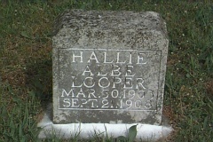 Hallie Albe Looper