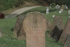 Magness Looper