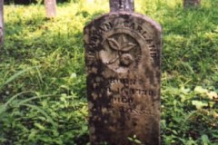 Mary Ann Sevier Carland