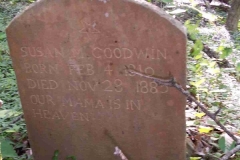 Susan M. Goodwin