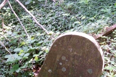 Infant of C. M. and L. A. Wilson