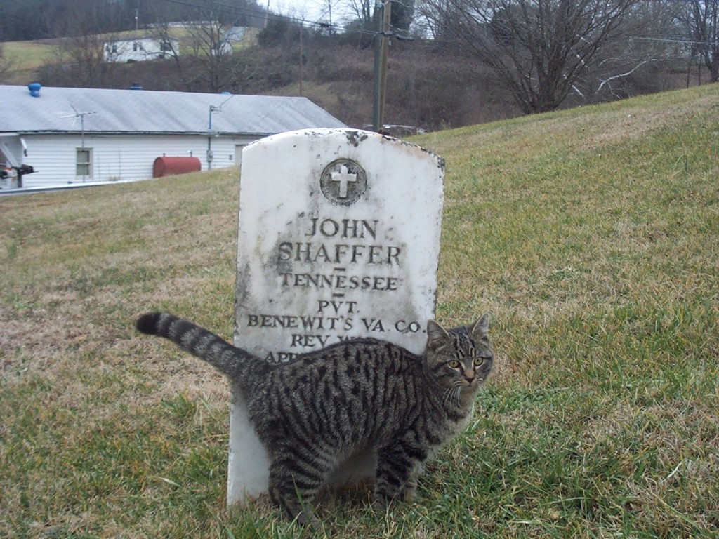 Shaffer tombstone at Zion Lutheran Cem