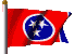 TN Flag