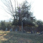 Harvey Family Cemetery2004