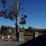 Northington-Carathers Cemetery 2003