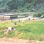 Range (Peter) Cemetery 1999