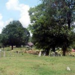 Old Fall Branch Cemetery (Hooper Cemetery) 2003