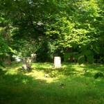 Price (Chester) Cemetery 2003